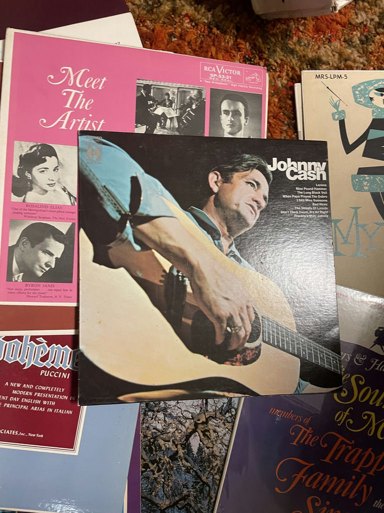 Collection of Vinyl Records - image 7 of 11