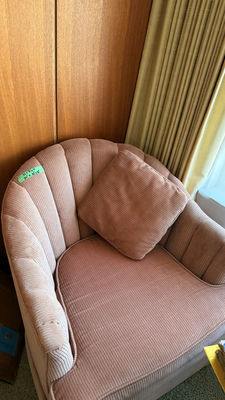 Upholstered Armchair with Matching Pillow - Image 1 of 8