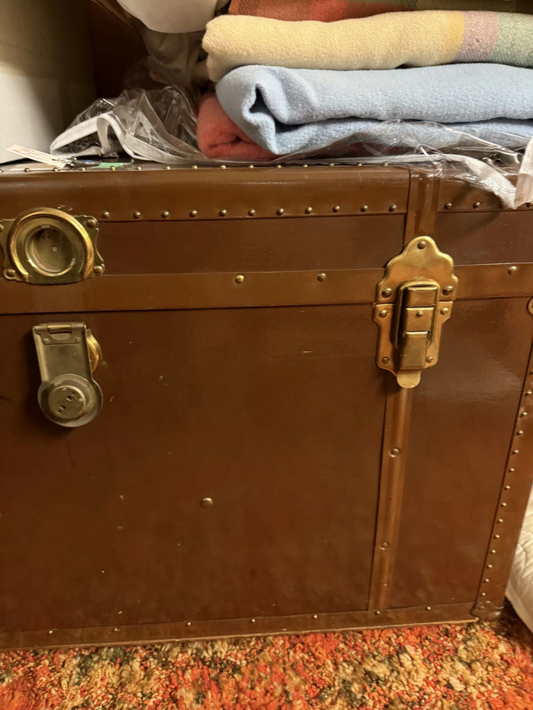 Brown Storage Trunk - image 3 of 14