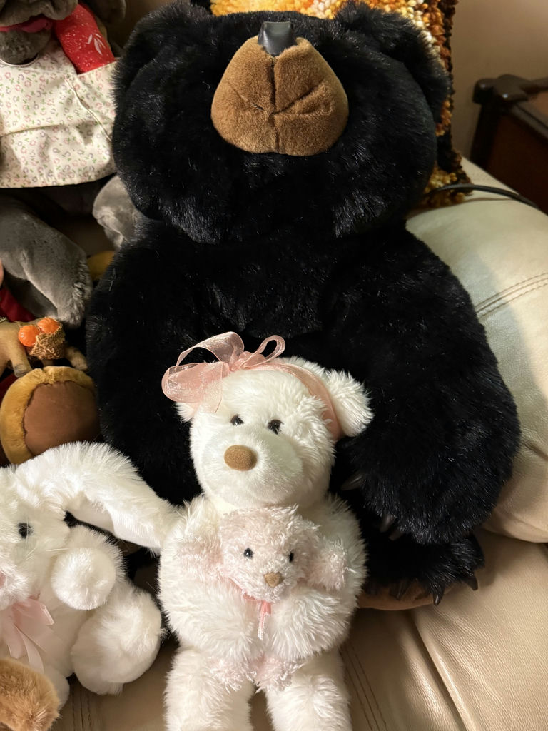Assorted Plush Stuffed Animals Collection - image 2 of 7