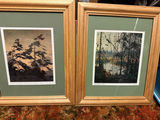 Framed Pressed Flower Artwork Collection - thumbnail 13 of 19