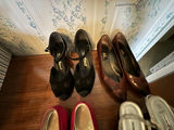 Tilley Fedora Hats, Assorted Women's Shoes, Umbrellas - thumbnail 6 of 18