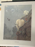 Collection of Wildlife and Bird Art Prints & art portfolio carry bags - thumbnail 4 of 11