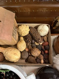 Assorted Decorative & Household Items - thumbnail 15 of 19
