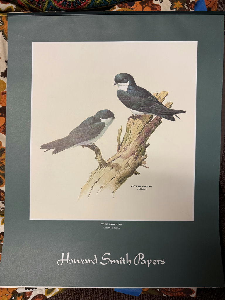 Collection of Wildlife and Bird Art Prints & art portfolio carry bags  - image 6 of 11
