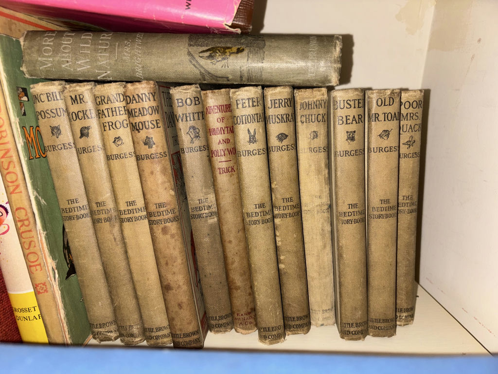 Vintage and Antique Book Lot Including Beatrix Potter and Classic Literature - image 5 of 9