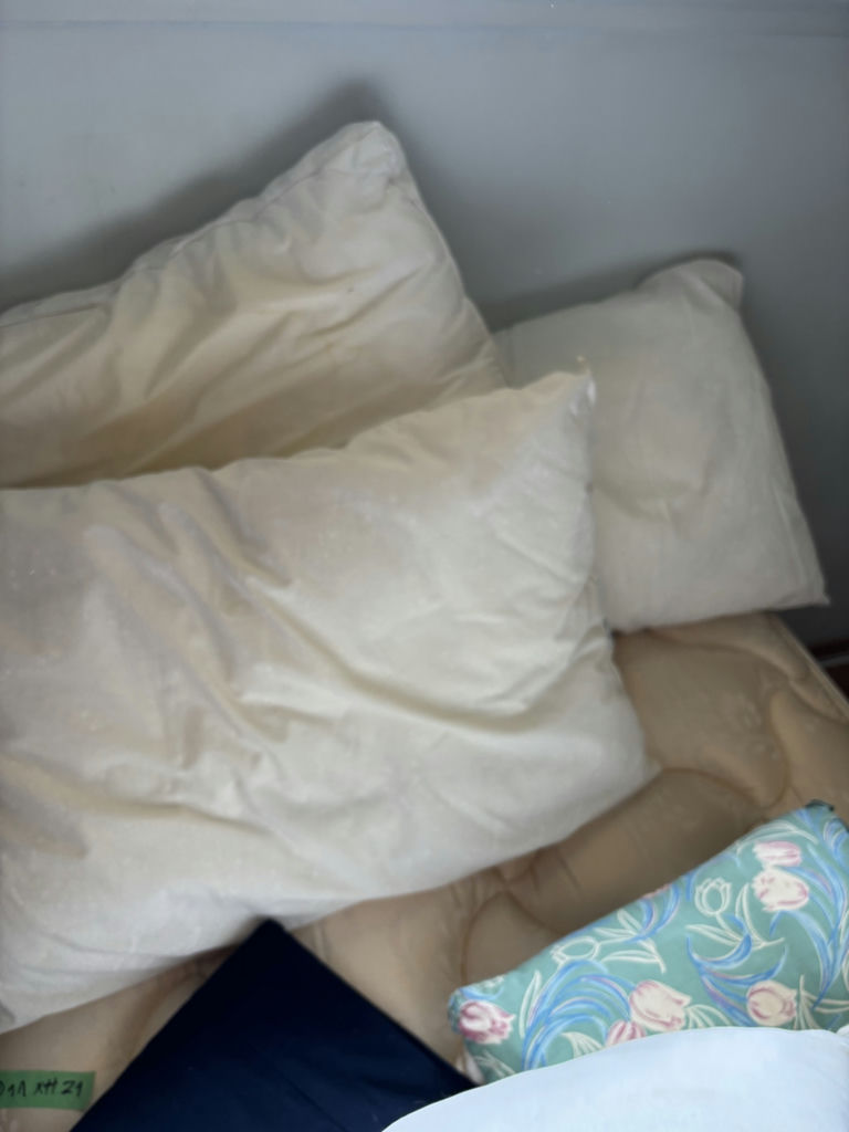 White Bedding and Decorative Pillows - image 10 of 11