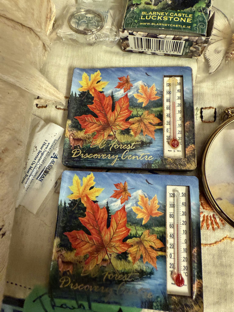 Assorted Decorative Travel Items, Books, and Small Accessories - image 2 of 23