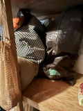 Assorted Camping Gear - thumbnail 2 of 13