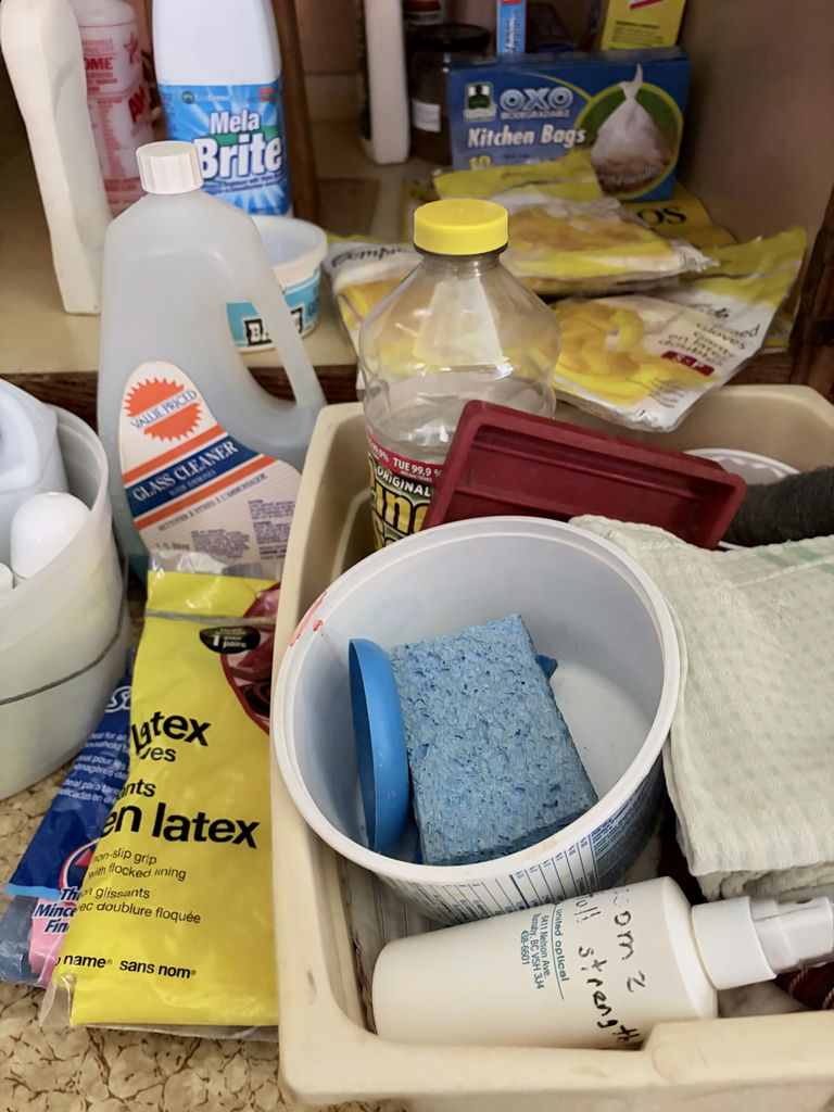 Assorted Household Cleaning Supplies and Gloves - image 6 of 7