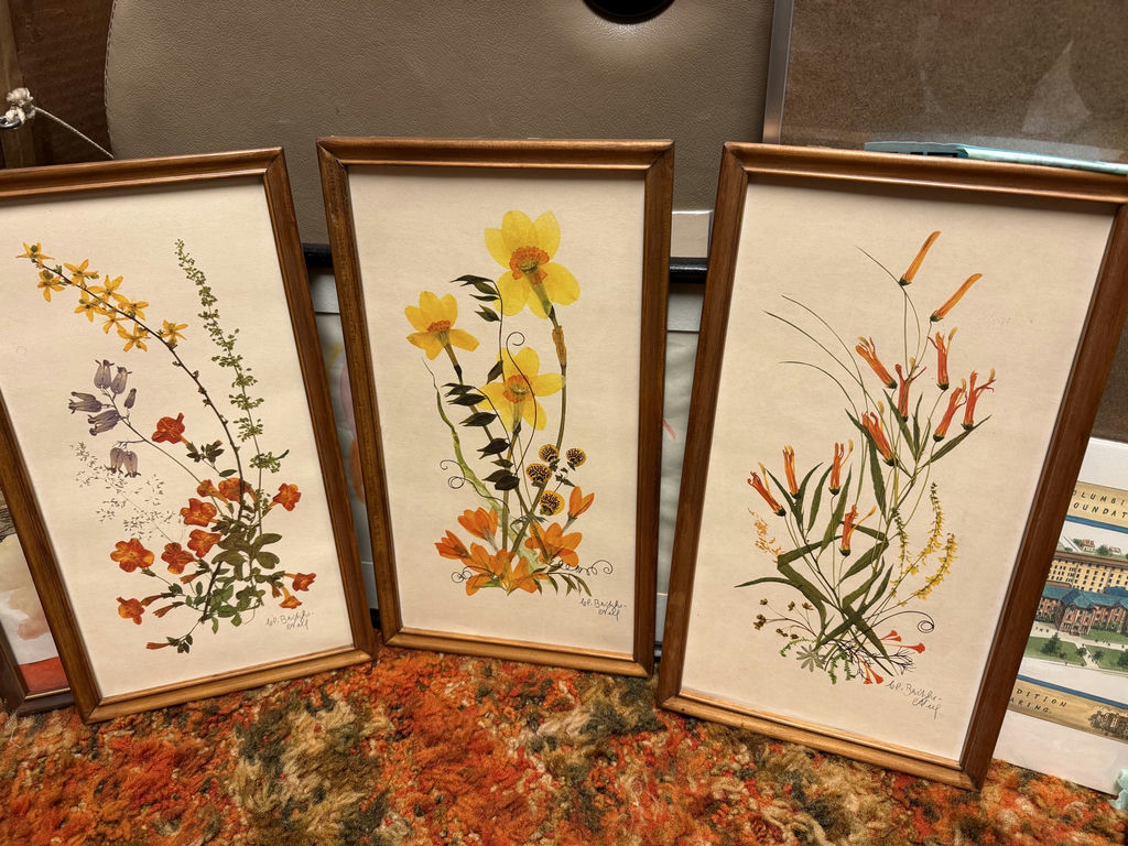 Framed Pressed Flower Artwork Collection - image 4 of 19
