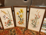 Framed Pressed Flower Artwork Collection - thumbnail 4 of 19