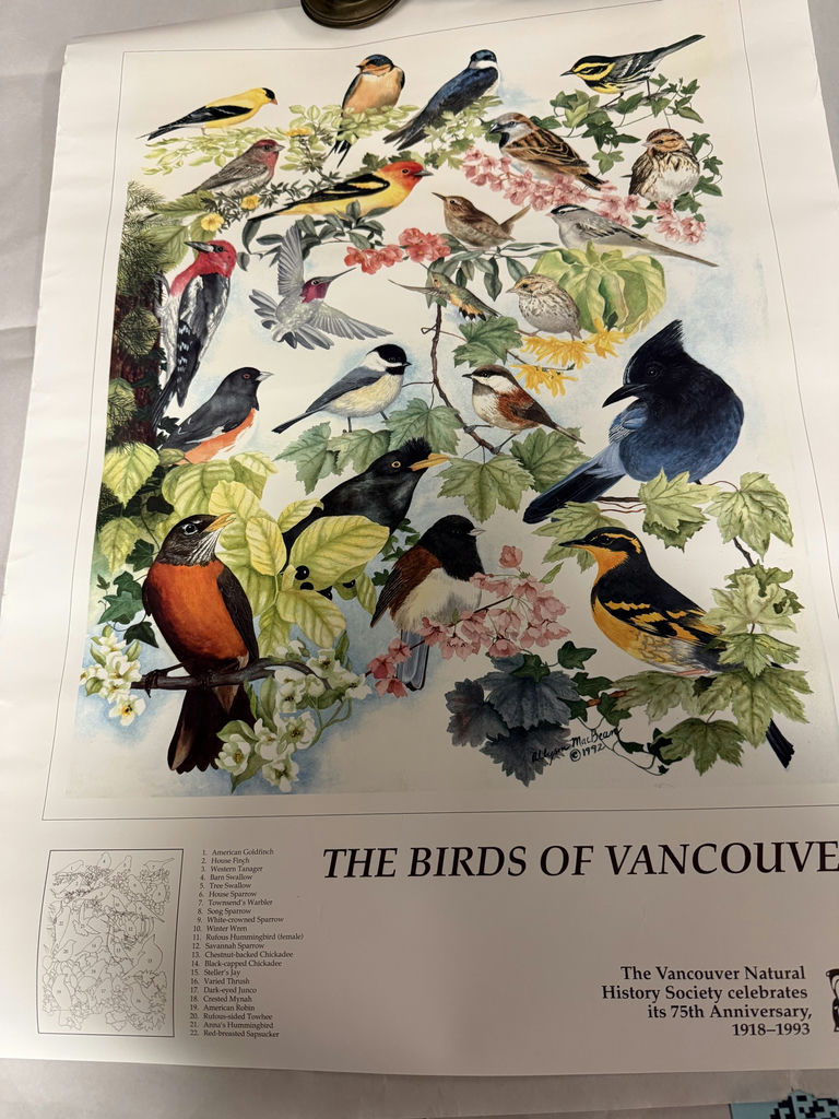 Collection of Wildlife and Bird Art Prints & art portfolio carry bags - image 9 of 11