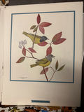 Collection of Wildlife and Bird Art Prints & art portfolio carry bags - thumbnail 8 of 11