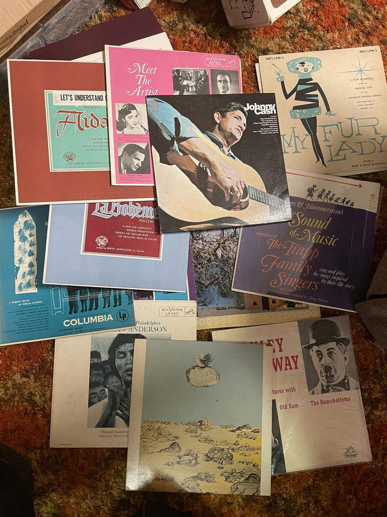 Collection of Vinyl Records - image 1 of 11