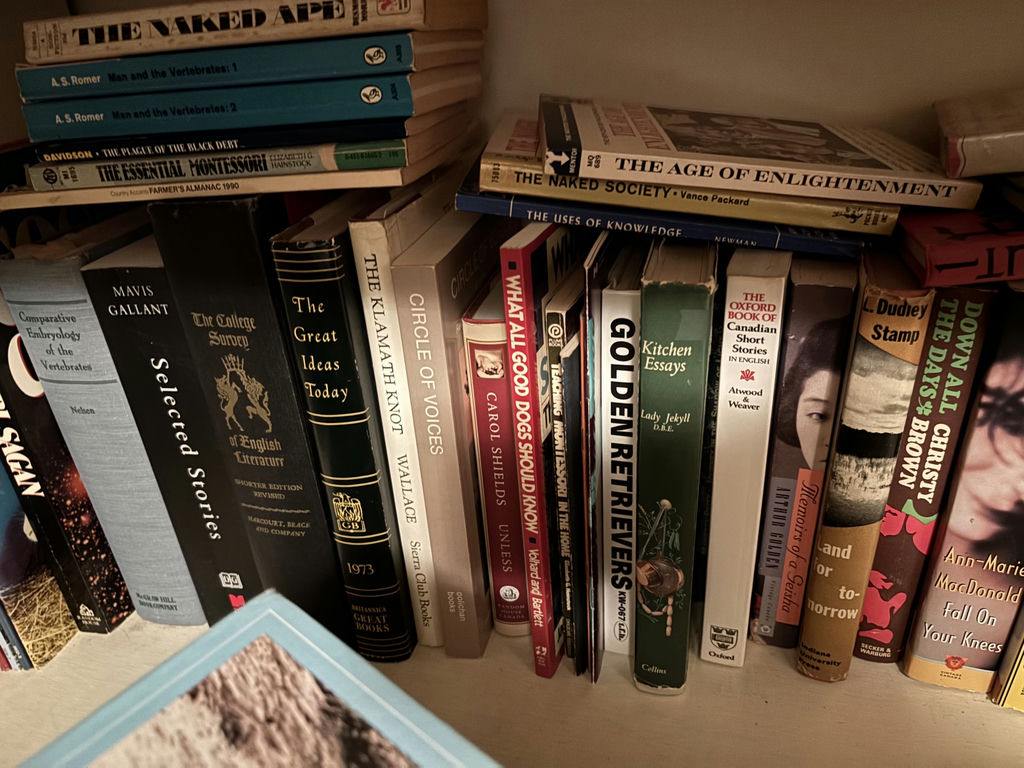 Mixed Assortment of Fiction, Science, History, and Reference Books - image 5 of 6