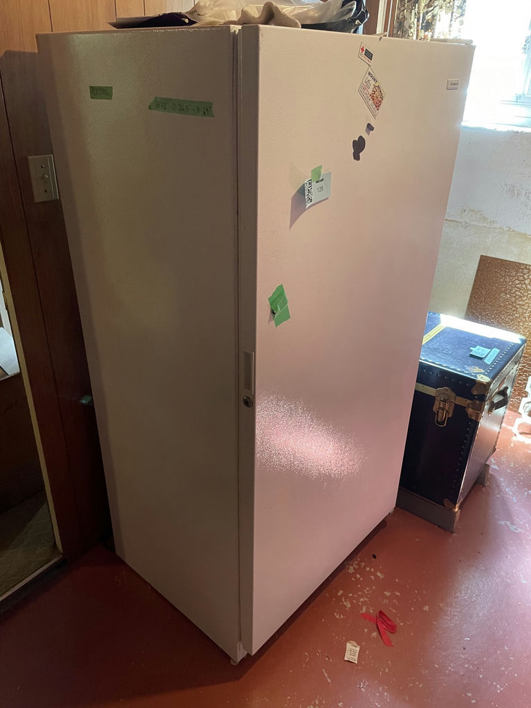 BeauMark Upright Freezer - image 1 of 8