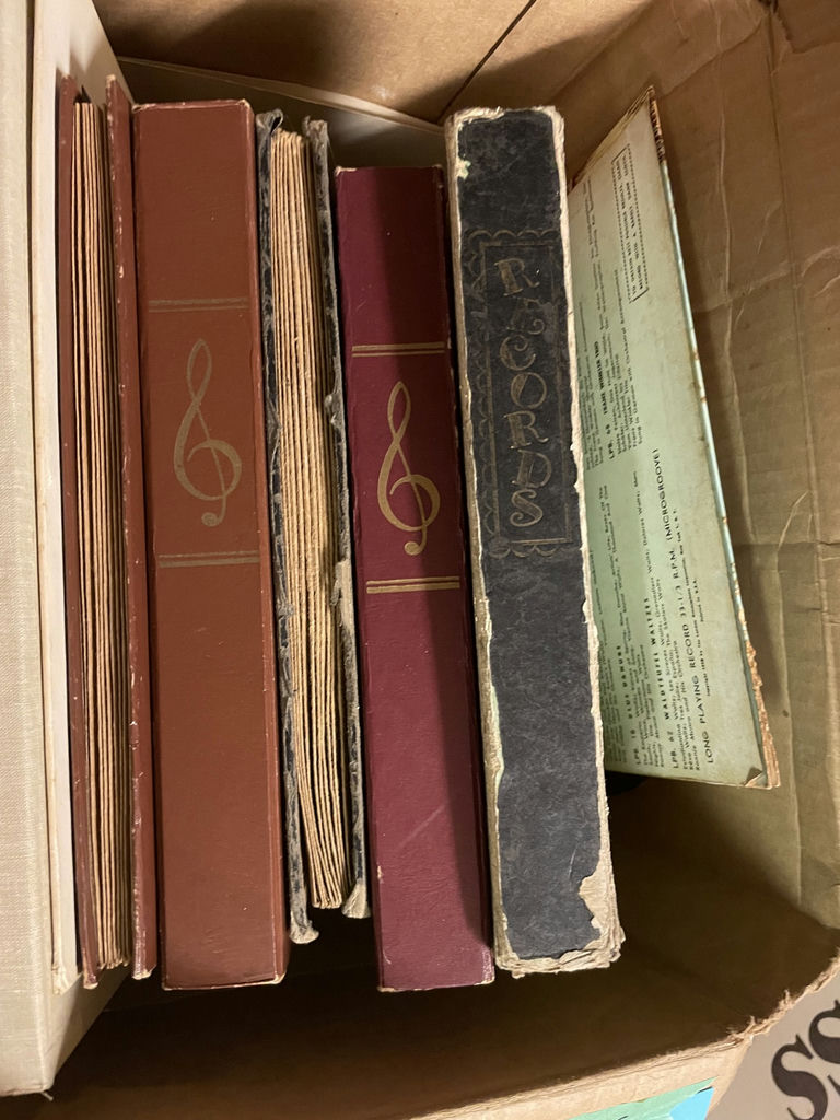 Collection of Vinyl Records - image 9 of 11