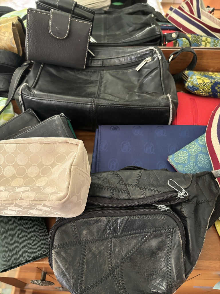 Assorted Handbags, Wallets, Pouches, and Travel Accessories - image 4 of 10