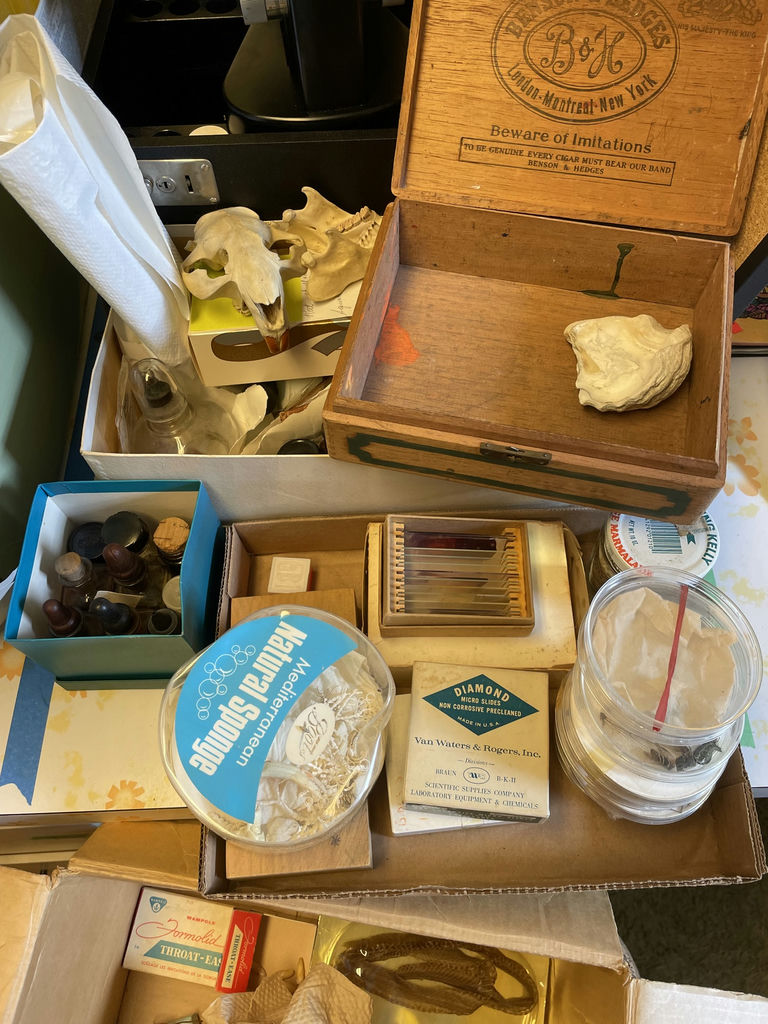 Ernst Leitz Wetzlar Microscope with Case and Laboratory Accessories - image 6 of 8
