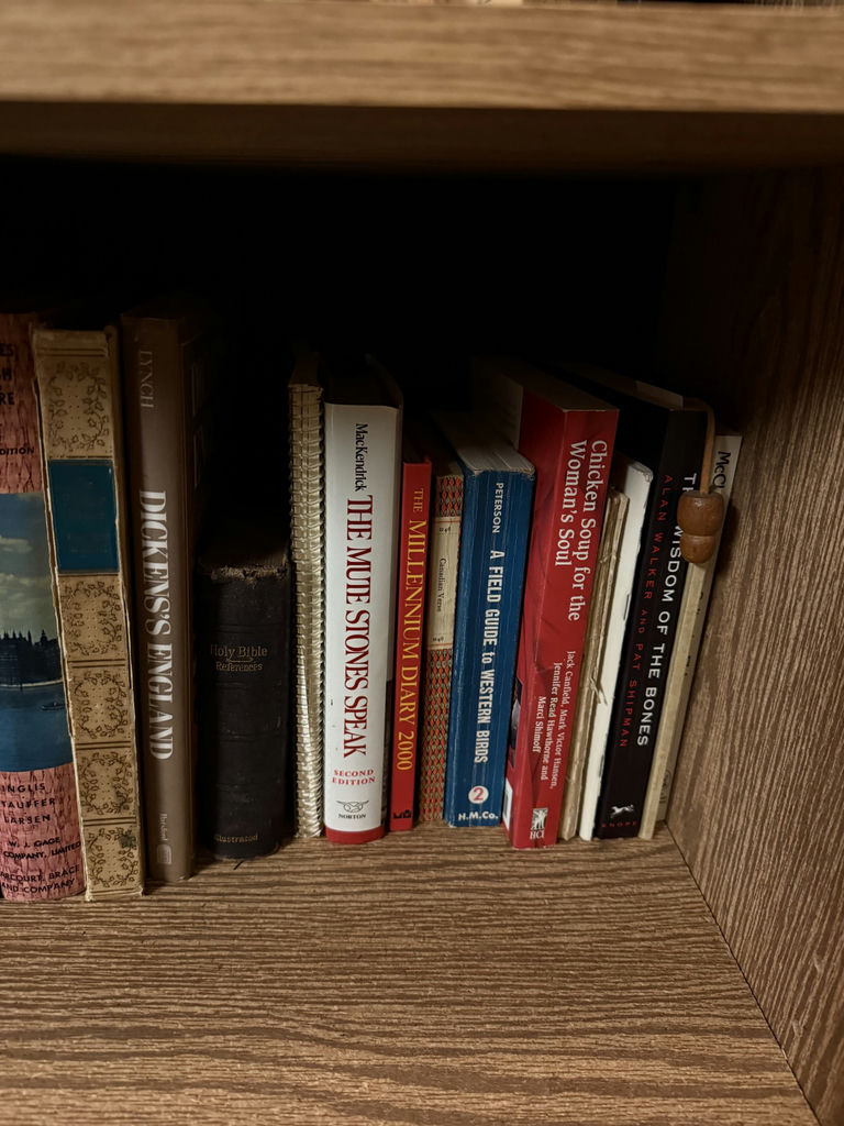 Assorted Fiction, Literature, History, and Reference Books - image 5 of 6