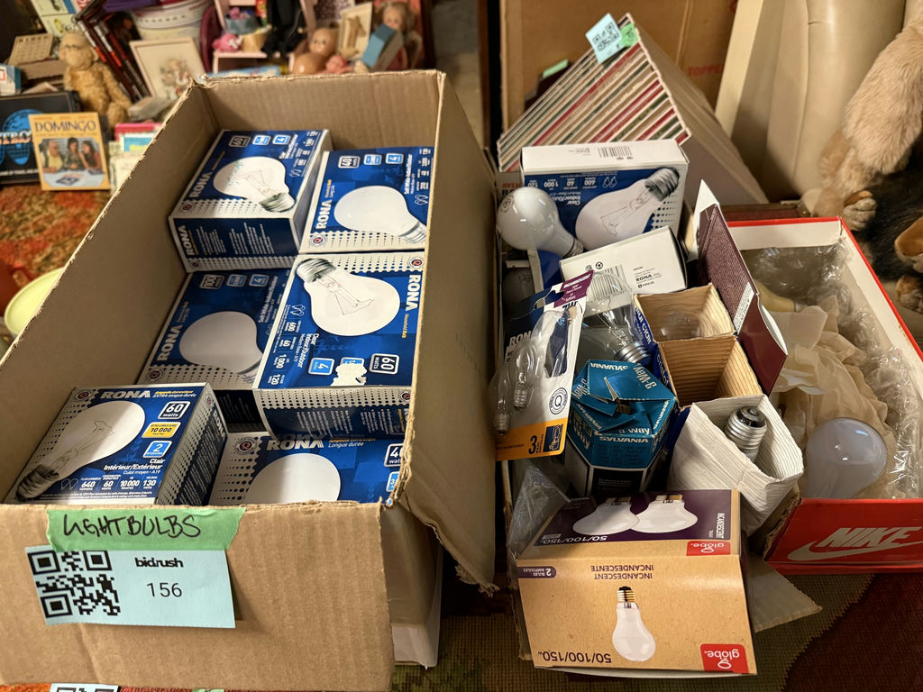 Assorted Household Light Bulbs - image 1 of 4