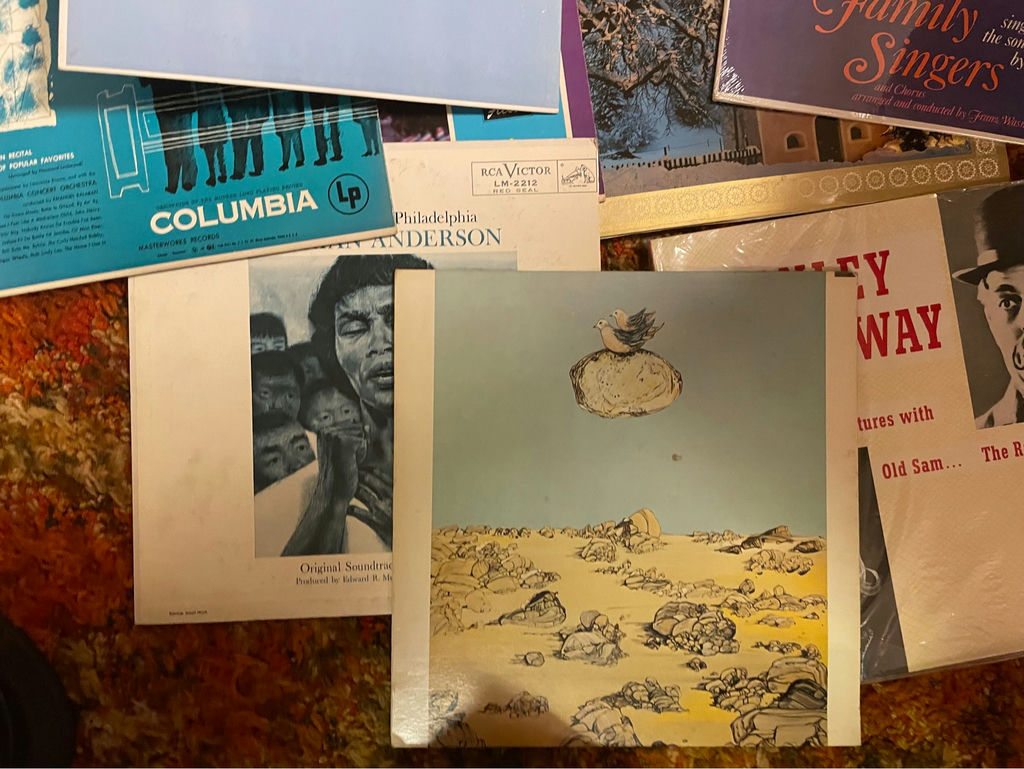Collection of Vinyl Records - image 8 of 11