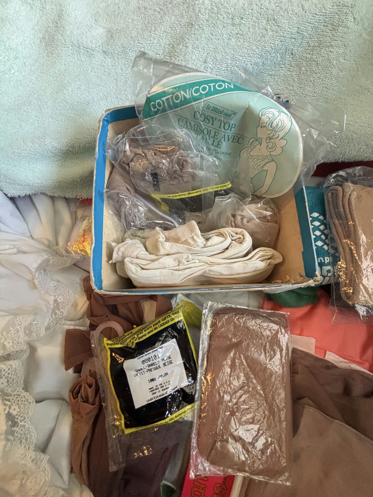 Assorted Women's Sleepware, Slip, Vintage Hoisery etc - image 8 of 12