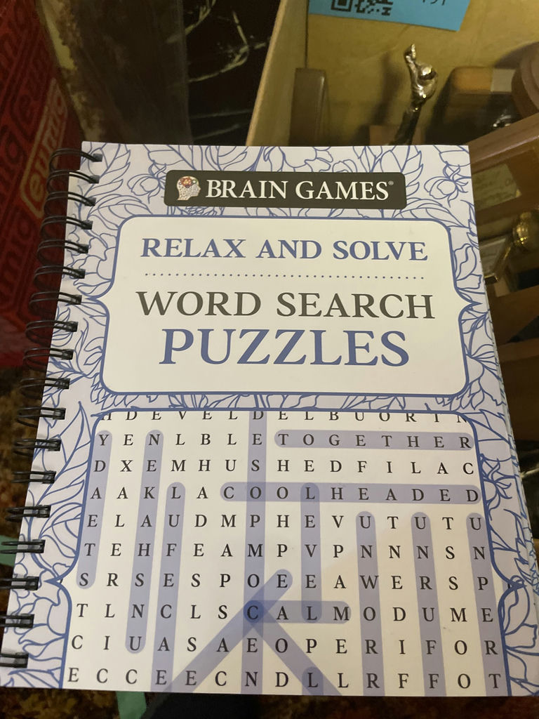 Sports Trophies and Brain Games Word Search Puzzle Book - image 2 of 7