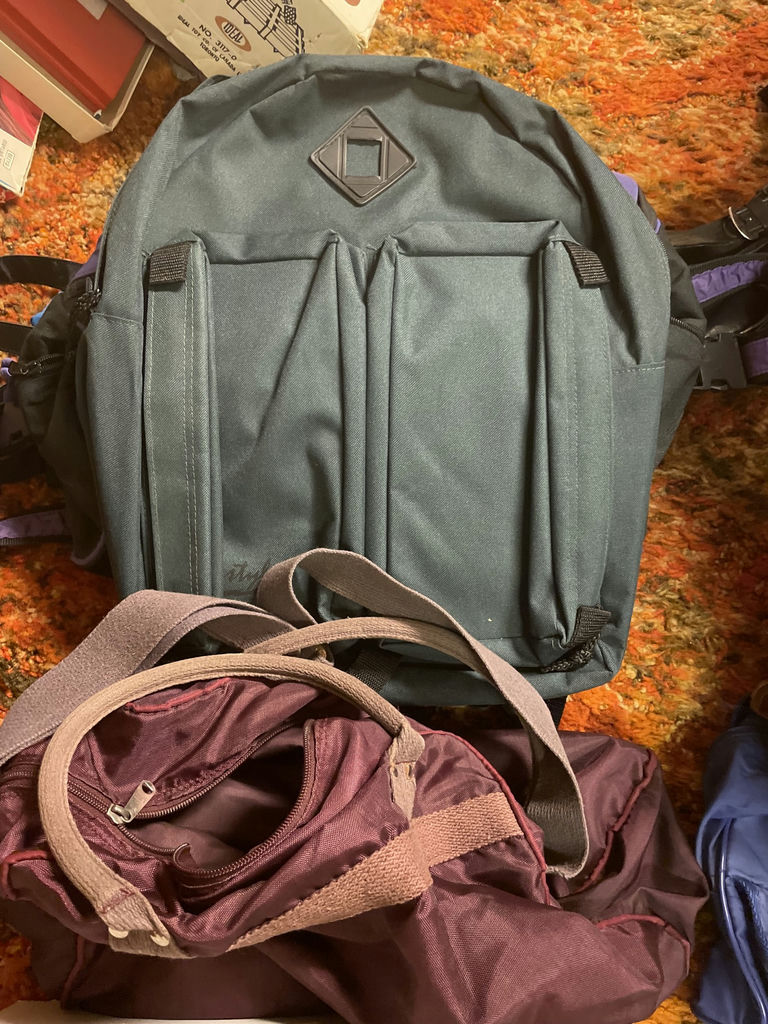 Assorted Bags and Cases - image 6 of 7