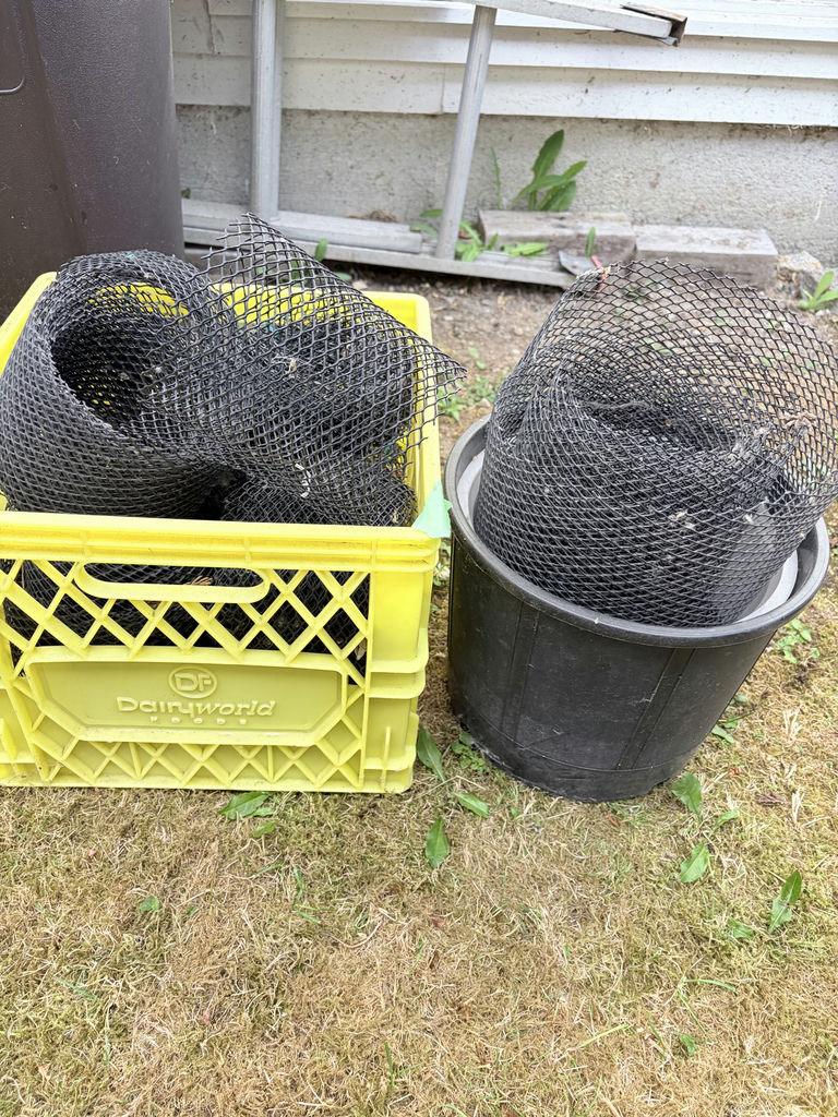 Assorted Yard and Cleaning Tools with Hoses and Garden Supplies - image 4 of 6