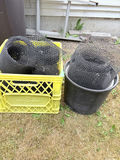 Assorted Yard and Cleaning Tools with Hoses and Garden Supplies - thumbnail 4 of 6