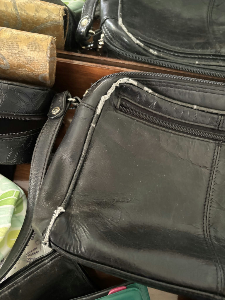 Assorted Handbags, Wallets, Pouches, and Travel Accessories - image 6 of 10