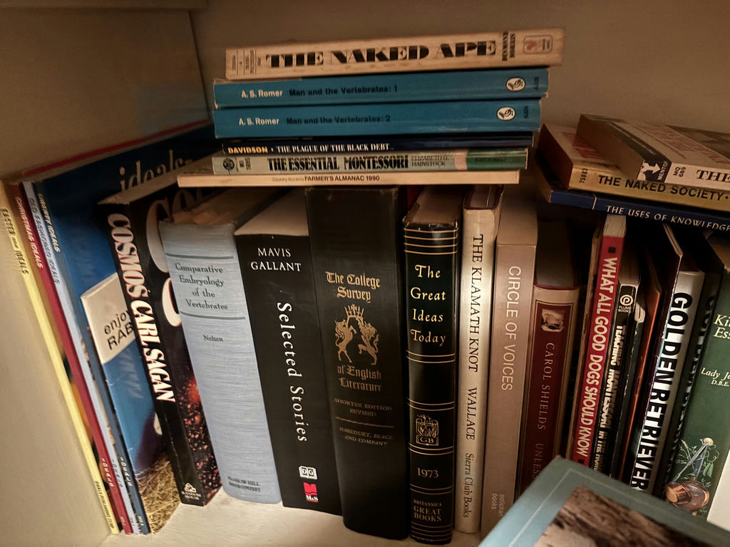 Mixed Assortment of Fiction, Science, History, and Reference Books - image 4 of 6
