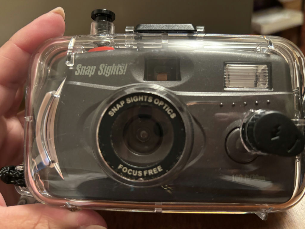 Assorted Cameras, Camera Accessories, and Lens Cases - image 11 of 30