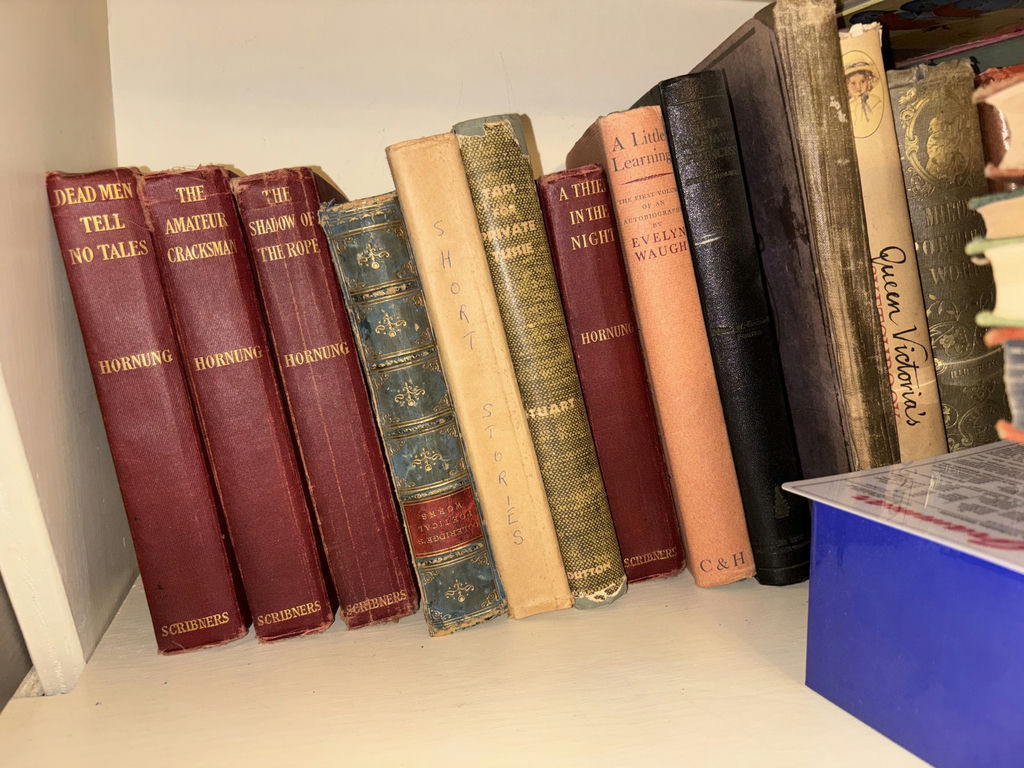 Vintage and Antique Book Lot Including Beatrix Potter and Classic Literature - image 8 of 9