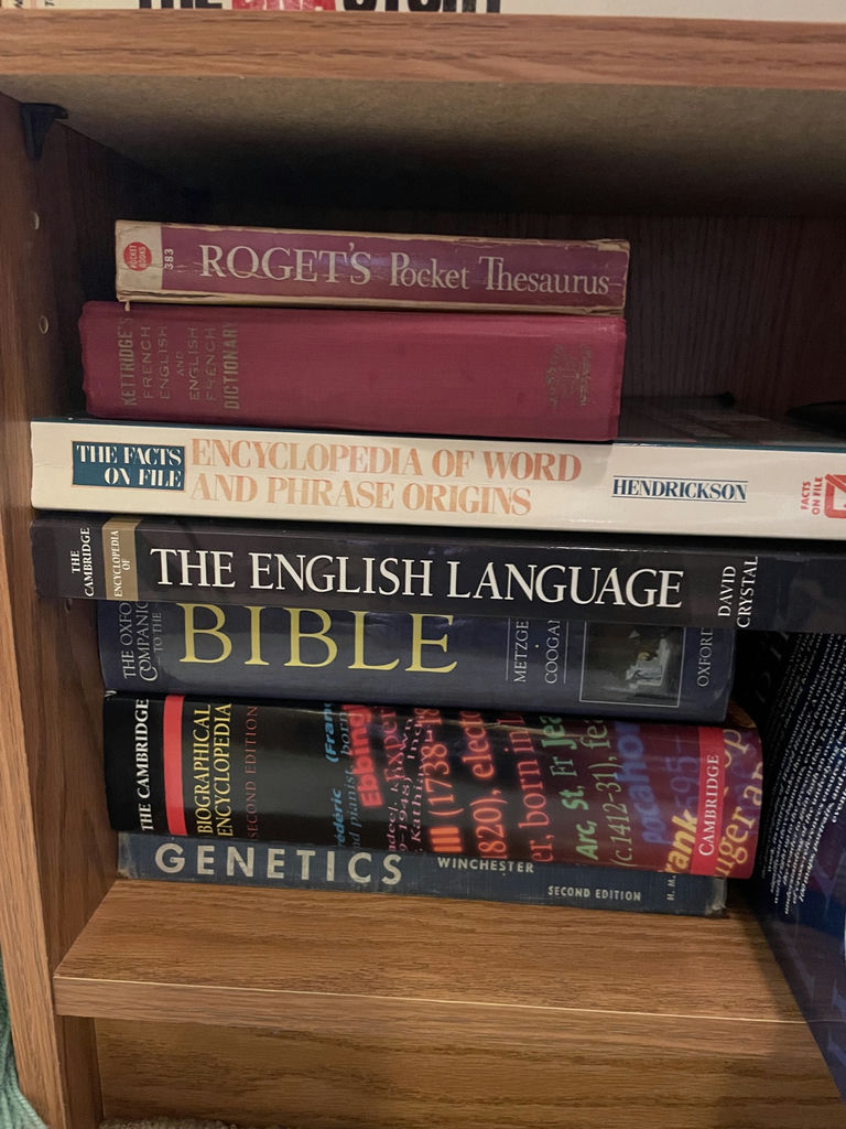 Books and Wooden Shelf - image 5 of 7