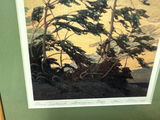 Framed Pressed Flower Artwork Collection - thumbnail 15 of 19