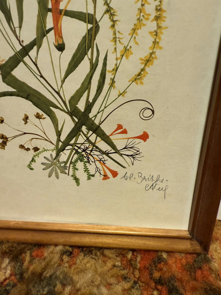 Framed Pressed Flower Artwork Collection - image 5 of 19