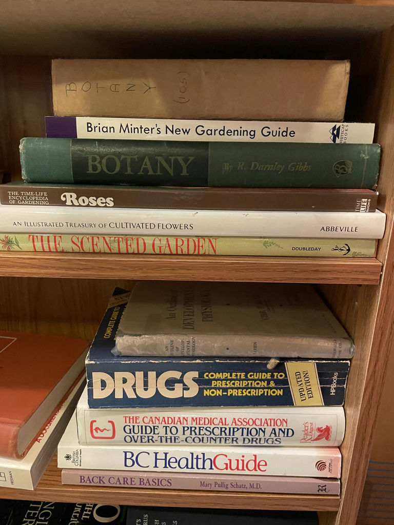 Books and Wooden Shelf - image 3 of 7