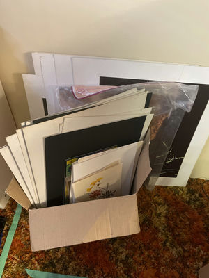 Collection of Nature and Landscape Photo Prints - Image 1 of 10