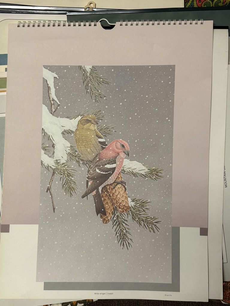 Collection of Wildlife and Bird Art Prints & art portfolio carry bags  - image 2 of 11