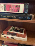 Books and Wooden Shelf - thumbnail 4 of 7