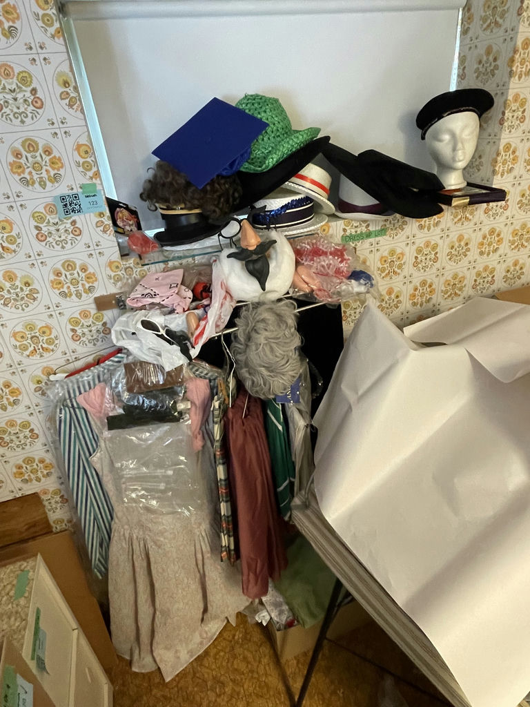 Costumes and Costume Accessories - image 1 of 5