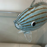 Two Blown Glass Fish Figurines - thumbnail 4 of 9