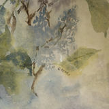 ORIGINAL WATERCOLOUR by Olive Cherry - thumbnail 6 of 9