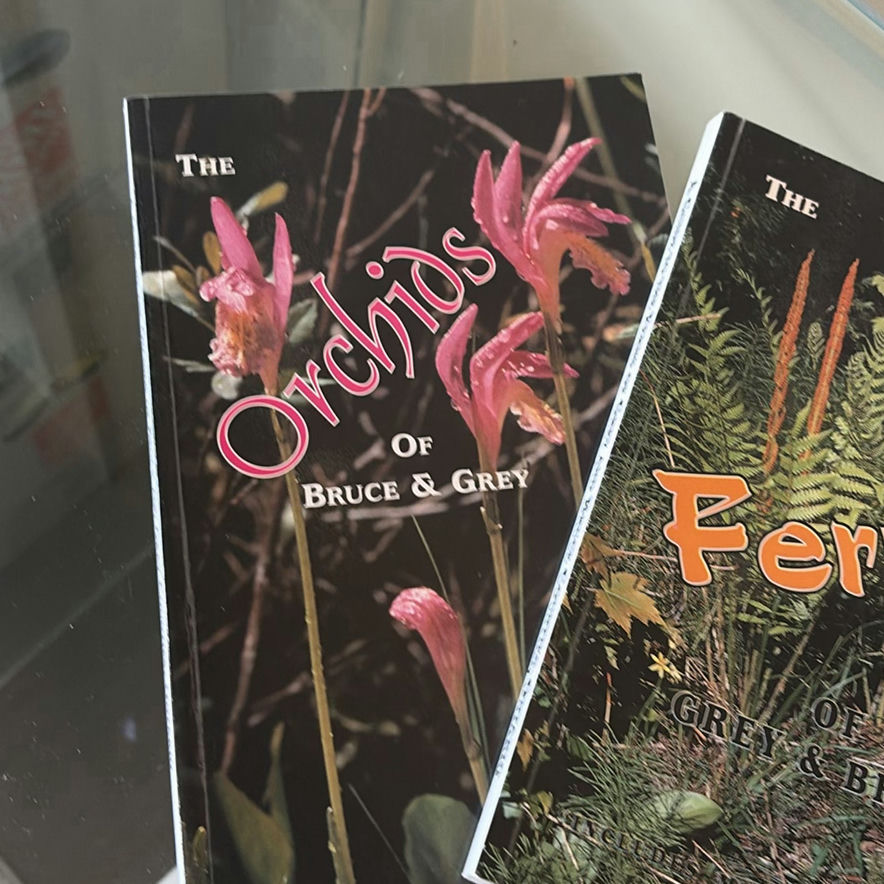 Collection of Local History, Photography, and Nature Books - image 9 of 9