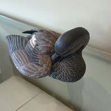 Gosset Wildlife Collection Preening Gadwell Carved Duck Decoy - thumbnail 2 of 12