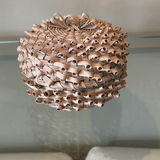 Indigenous Woven Lidded Basket - thumbnail 5 of 10