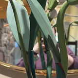 Decorative Wooden Floral Arrangement in Clay Vase - thumbnail 5 of 10